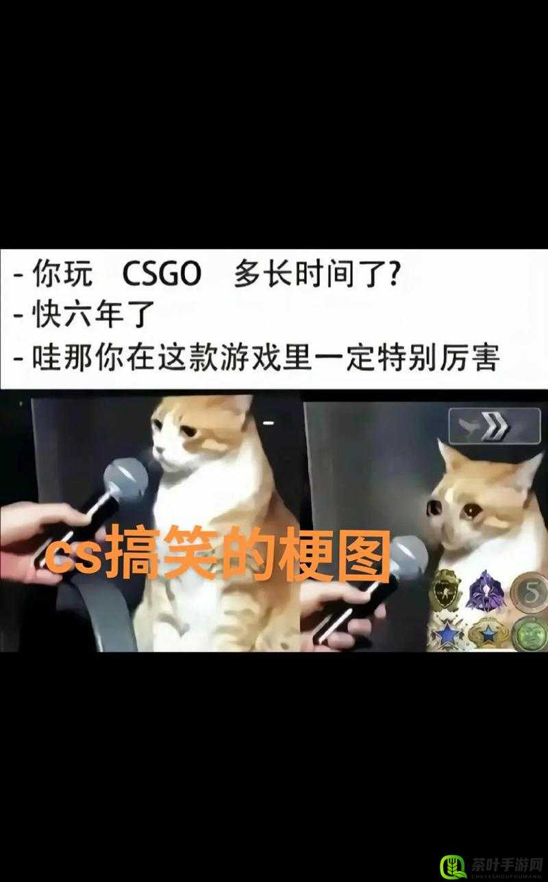 单亲妈妈玩 csgo：谁说女子不如男 游戏世界展风采