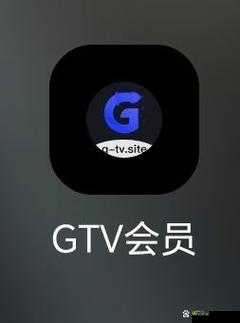 GTV 全球最好 g 平台入口究竟在哪里呢