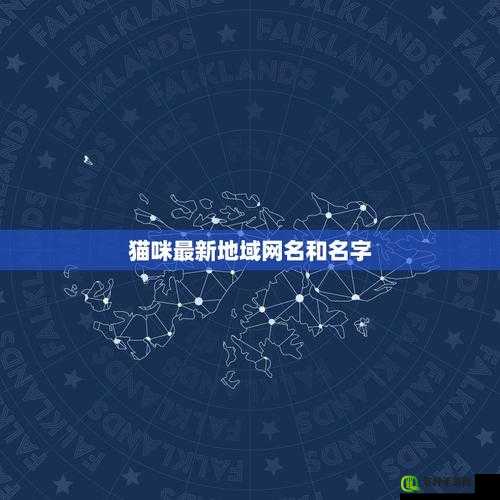 猫咪 MV 最新地域名怎么取：探寻其中的命名奥秘