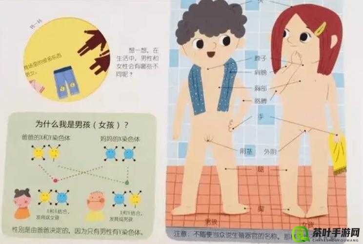 男女生一起嗟嗟嗟很痛无马：探索性教育的正确方式